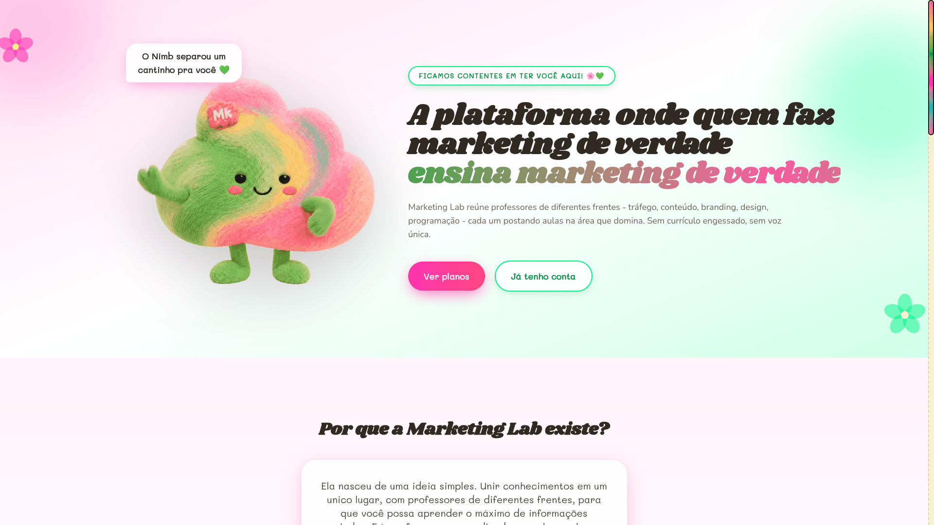 Captura do projeto MarketingLab